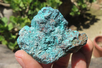 Natural Blue Shattuckite Specimens x "Lot" From Kaokoveld, Namibia