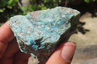 Natural Blue Shattuckite Specimens x "Lot" From Kaokoveld, Namibia