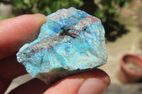 Natural Blue Shattuckite Specimens x "Lot" From Kaokoveld, Namibia