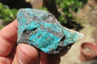 Natural Blue Shattuckite Specimens x "Lot" From Kaokoveld, Namibia