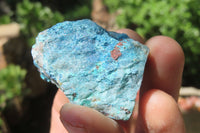 Natural Blue Shattuckite Specimens x "Lot" From Kaokoveld, Namibia