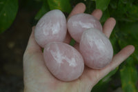 Polished Rose Quartz Eggs - Sold Per Item - From Namibia