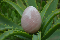 Polished Rose Quartz Eggs - Sold Per Item - From Namibia