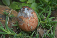 Polished Brecciated Red Jasper Eggs - Sold Per Item - From Northern Cape South Africa