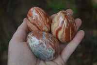 Polished Brecciated Red Jasper Eggs - Sold Per Item - From Northern Cape South Africa