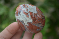 Polished Brecciated Red Jasper Eggs - Sold Per Item - From Northern Cape South Africa