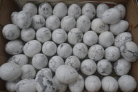 Polished Small Lightning Strike Magnesite - Howlite Gemstone Eggs - Sold Per Item - From Zimbabwe