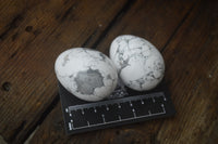 Polished Small Lightning Strike Magnesite - Howlite Gemstone Eggs - Sold Per Item - From Zimbabwe