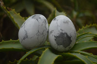 Polished Small Lightning Strike Magnesite - Howlite Gemstone Eggs - Sold Per Item - From Zimbabwe