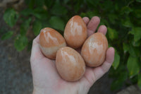 Polished Orange Quartz Gemstone Eggs - Sold Per Item - From Zimbabwe