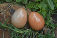 Polished Orange Quartz Gemstone Eggs - Sold Per Item - From Zimbabwe