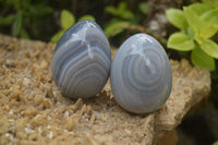 Polished Large Banded Agate Eggs - Sold Per Item - From Madagascar