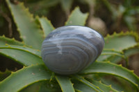 Polished Large Banded Agate Eggs - Sold Per Item - From Madagascar