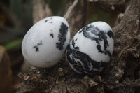 Polished Zebra Marble Eggs - Sold Per Item - From Australia