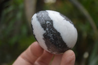 Polished Zebra Marble Eggs - Sold Per Item - From Australia