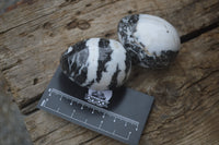 Polished Zebra Marble Eggs - Sold Per Item - From Australia