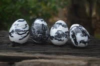 Polished Zebra Marble Eggs - Sold Per Item - From Australia