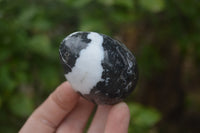 Polished Zebra Marble Eggs - Sold Per Item - From Australia