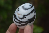 Polished Zebra Marble Eggs - Sold Per Item - From Australia