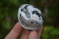 Polished Zebra Marble Eggs - Sold Per Item - From Australia