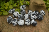 Polished Zebra Marble Eggs - Sold Per Item - From Australia