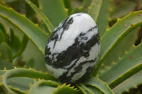 Polished Zebra Marble Eggs - Sold Per Item - From Australia