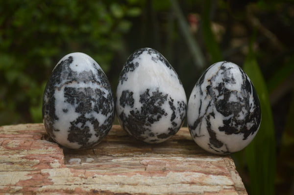 Polished Zebra Marble Eggs - Sold Per Item - From Australia