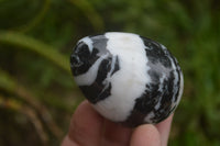 Polished Zebra Marble Eggs - Sold Per Item - From Australia