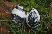 Polished Zebra Marble Eggs - Sold Per Item - From Australia