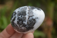 Polished Zebra Marble Eggs - Sold Per Item - From Australia