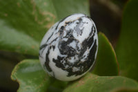 Polished Zebra Marble Eggs - Sold Per Item - From Australia