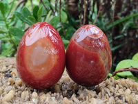 Polished Red Agate Gemstone Eggs - Sold Per Item - From Brazil