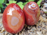 Polished Red Agate Gemstone Eggs - Sold Per Item - From Brazil