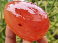 Polished Red Agate Gemstone Eggs - Sold Per Item - From Brazil