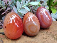 Polished Red Agate Gemstone Eggs - Sold Per Item - From Brazil