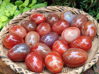 Polished Red Agate Gemstone Eggs - Sold Per Item - From Brazil