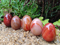 Polished Red Agate Gemstone Eggs - Sold Per Item - From Brazil