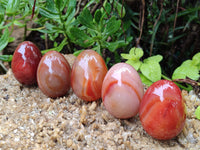 Polished Red Agate Gemstone Eggs - Sold Per Item - From Brazil