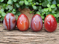 Polished Red Agate Gemstone Eggs - Sold Per Item - From Brazil