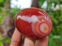 Polished Red Agate Gemstone Eggs - Sold Per Item - From Brazil