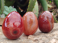 Polished Red Agate Gemstone Eggs - Sold Per Item - From Brazil