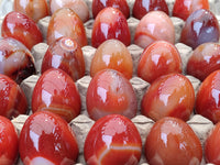 Polished Red Agate Gemstone Eggs - Sold Per Item - From Brazil