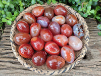 Polished Red Agate Gemstone Eggs - Sold Per Item - From Brazil