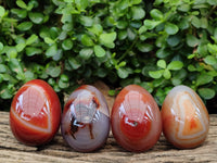 Polished Red Agate Gemstone Eggs - Sold Per Item - From Brazil