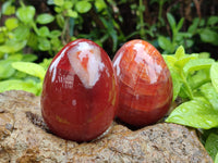 Polished Red Agate Gemstone Eggs - Sold Per Item - From Brazil