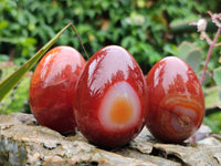 Polished Red Agate Gemstone Eggs - Sold Per Item - From Brazil