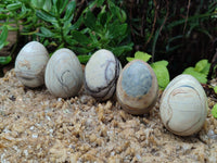 Polished African Banded Butter Jade Eggs - Sold Per Item - From Bronkhorstspruit, South Africa