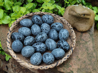 Polished Snowflake Obsidion Gemstone Eggs - Sold Per Item - From Mexico