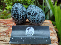 Polished Snowflake Obsidion Gemstone Eggs - Sold Per Item - From Mexico