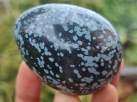 Polished Snowflake Obsidion Gemstone Eggs - Sold Per Item - From Mexico